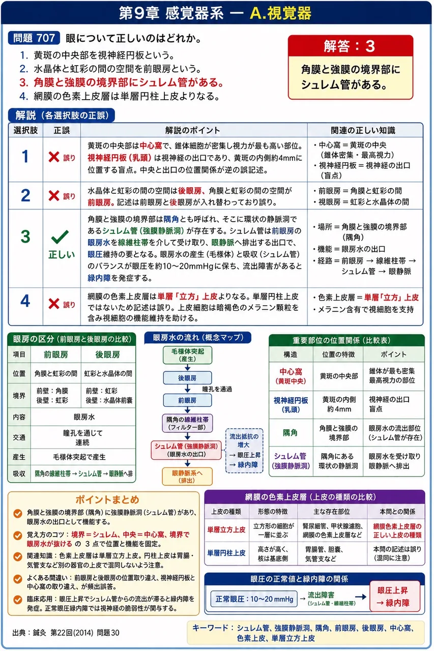鍼灸 第22回(2014) 問題30｜眼について正しいのはどれか。 解説図