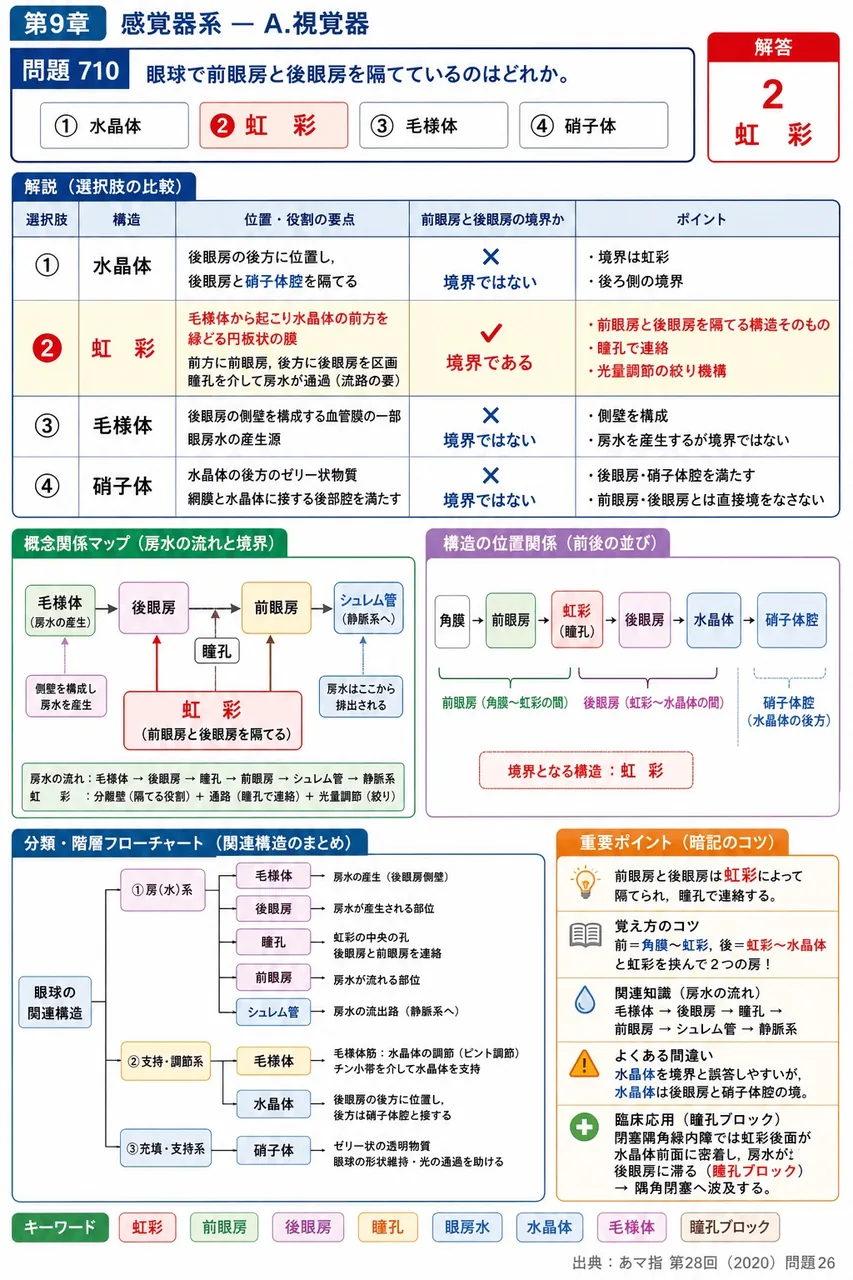 あマ指 第28回(2020) 問題26｜眼球で前眼房と後眼房を隔てているのはどれか。 解説図