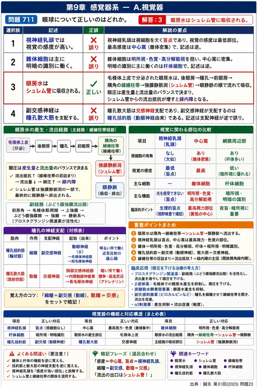 鍼灸 第31回(2023) 問題23｜眼球について正しいのはどれか。 解説図