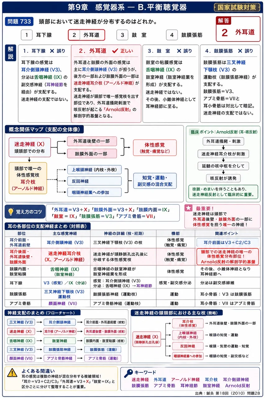 鍼灸 第18回(2010) 問題28|頭部において迷走神経が分布するのはどれか。 解説図