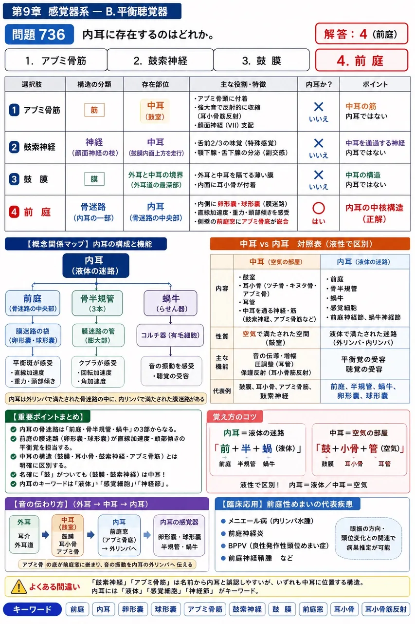あマ指 第22回(2014) 問題33｜内耳に存在するのはどれか。 解説図