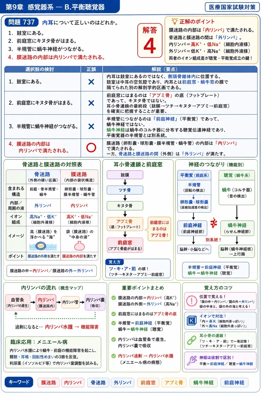 あマ指 第25回(2017) 問題26｜内耳について正しいのはどれか。 解説図