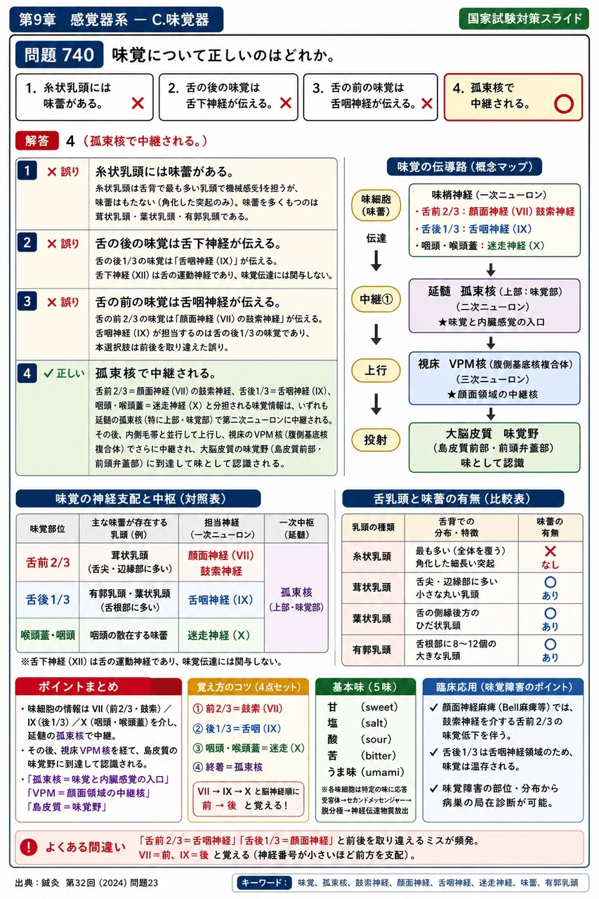 鍼灸 第32回(2024) 問題23｜味覚について正しいのはどれか。 解説図
