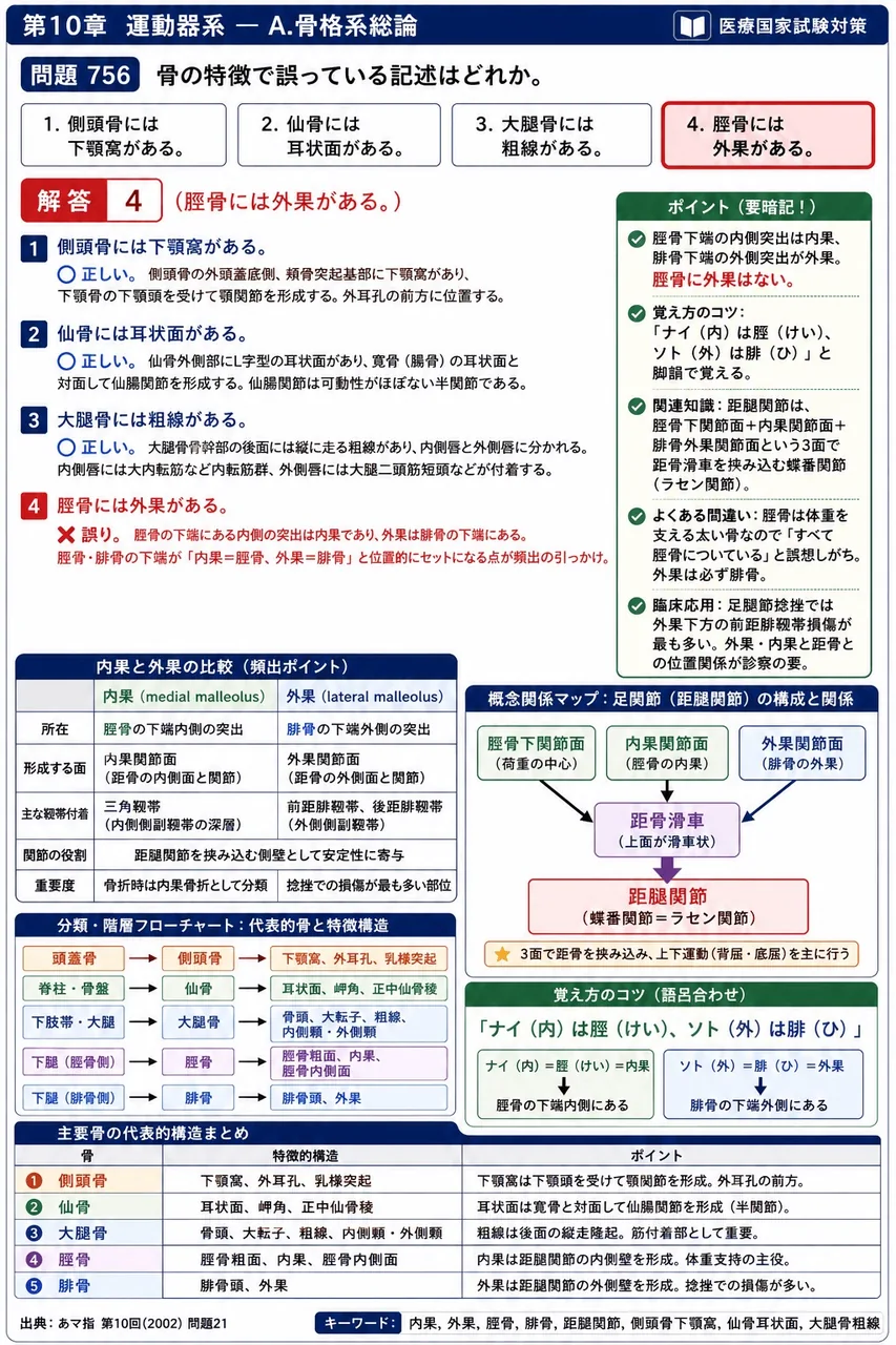 あマ指 第10回(2002) 問題21｜骨の特徴で誤っている記述はどれか。 解説図