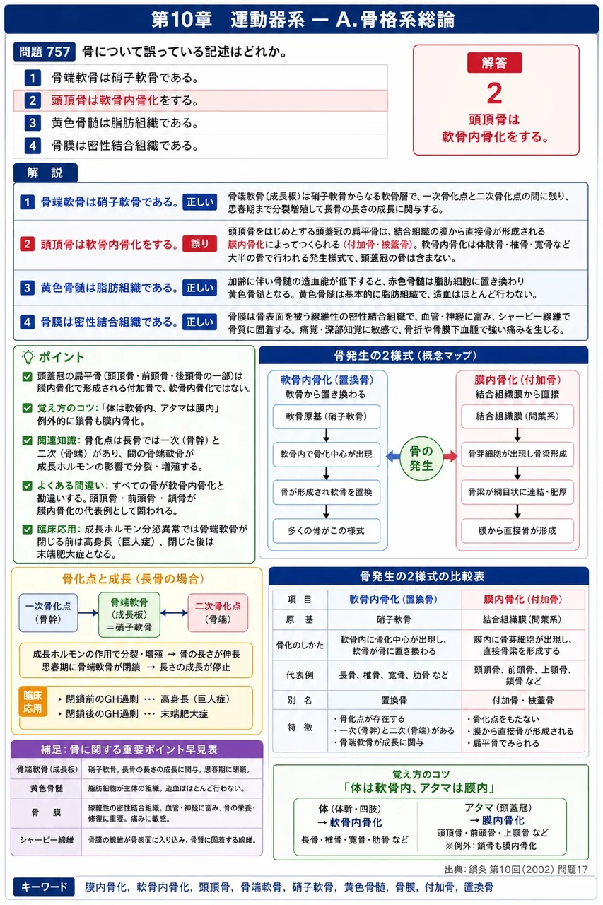 鍼灸 第10回(2002) 問題17｜骨について誤っている記述はどれか。 解説図