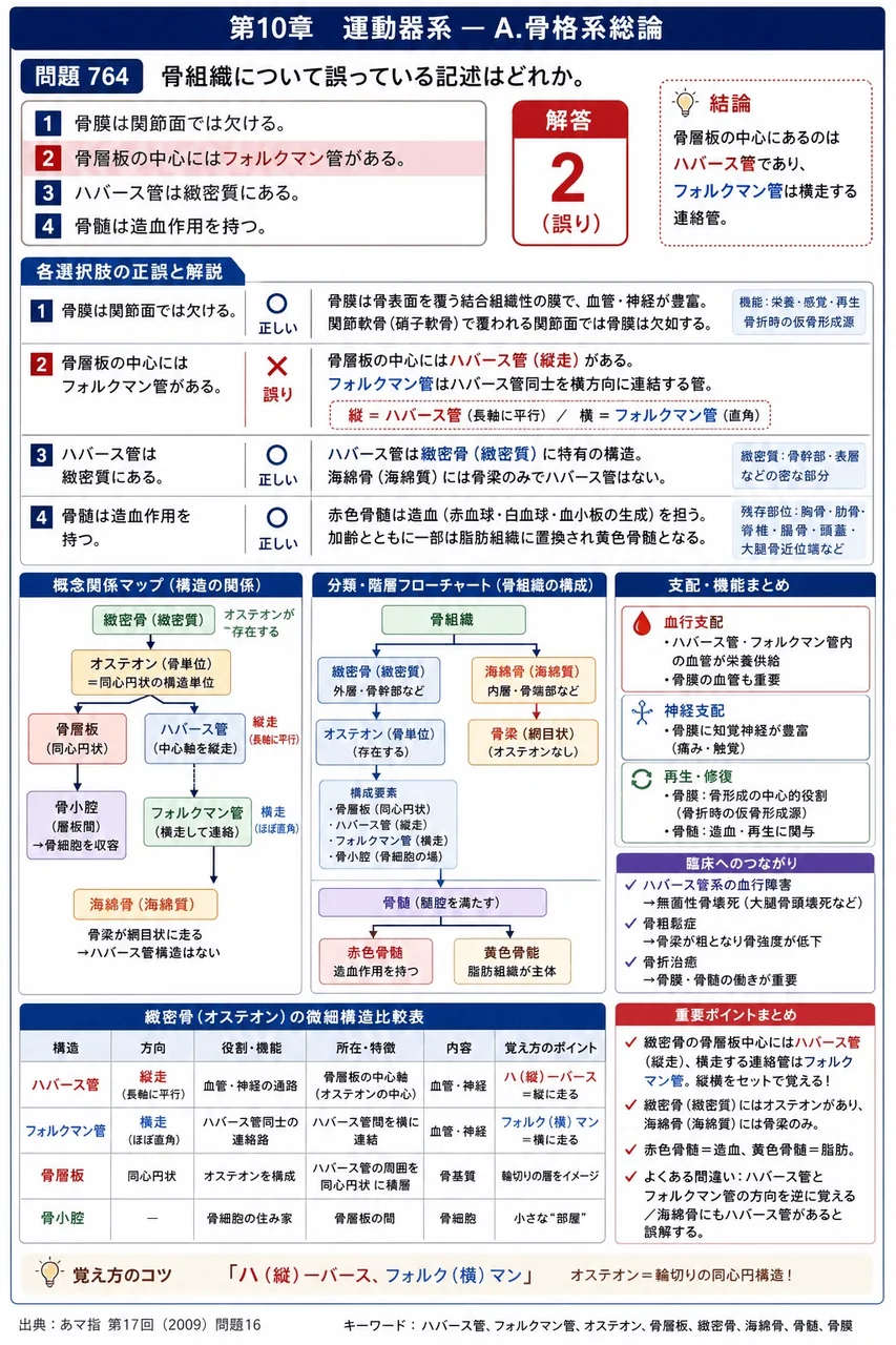 あマ指 第17回(2009) 問題16|骨組織について誤っている記述はどれか。 解説図