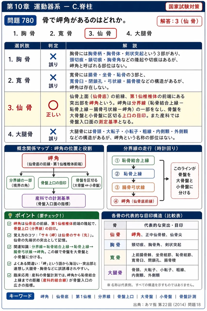 あマ指 第22回(2014) 問題18｜骨で岬角があるのはどれか。 解説図