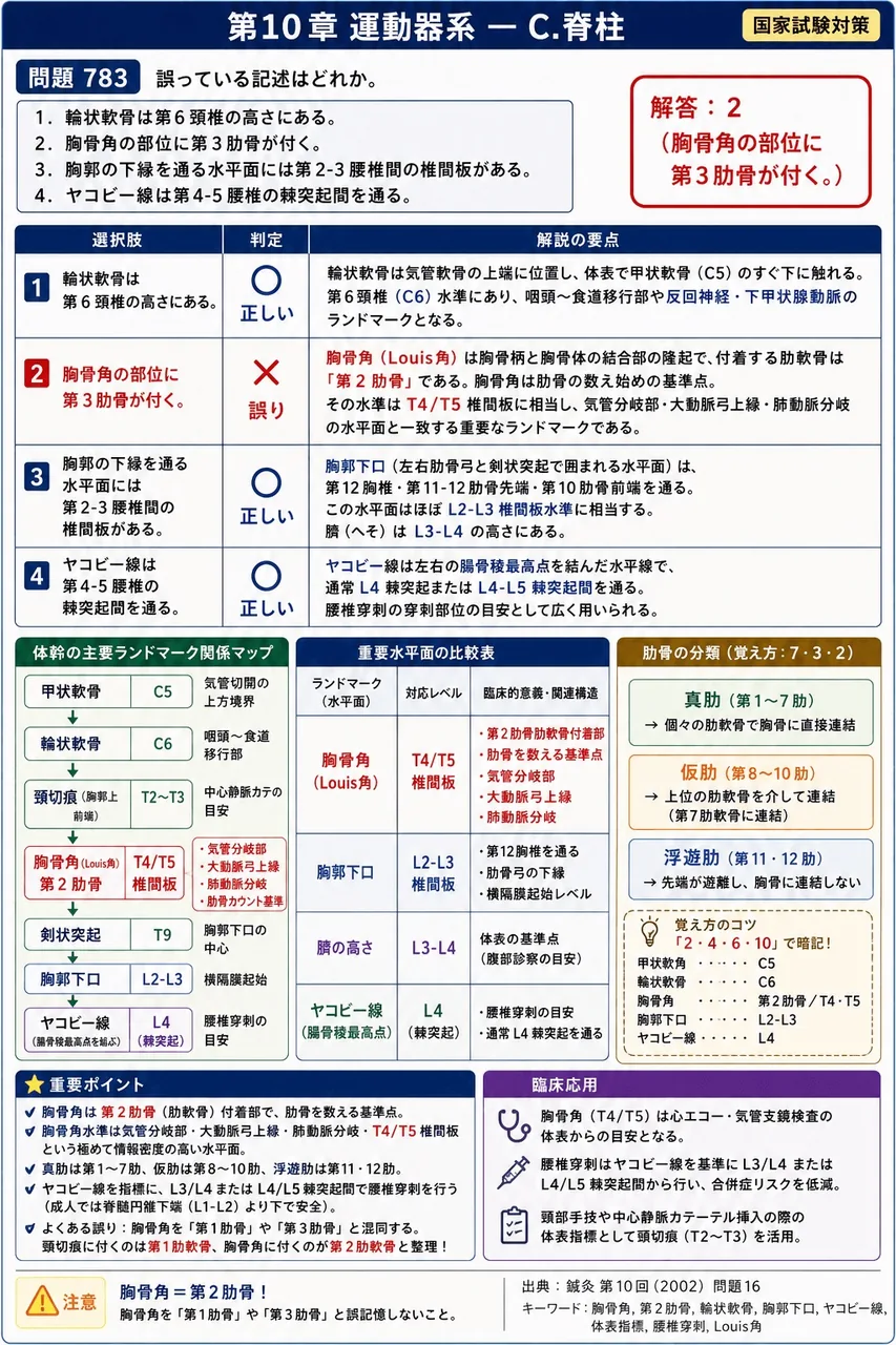 鍼灸 第10回(2002) 問題16|誤っている記述はどれか。 解説図