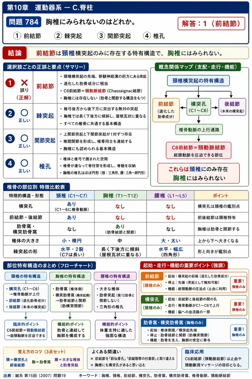 鍼灸 第15回(2007) 問題19|胸椎にみられないのはどれか。 解説図