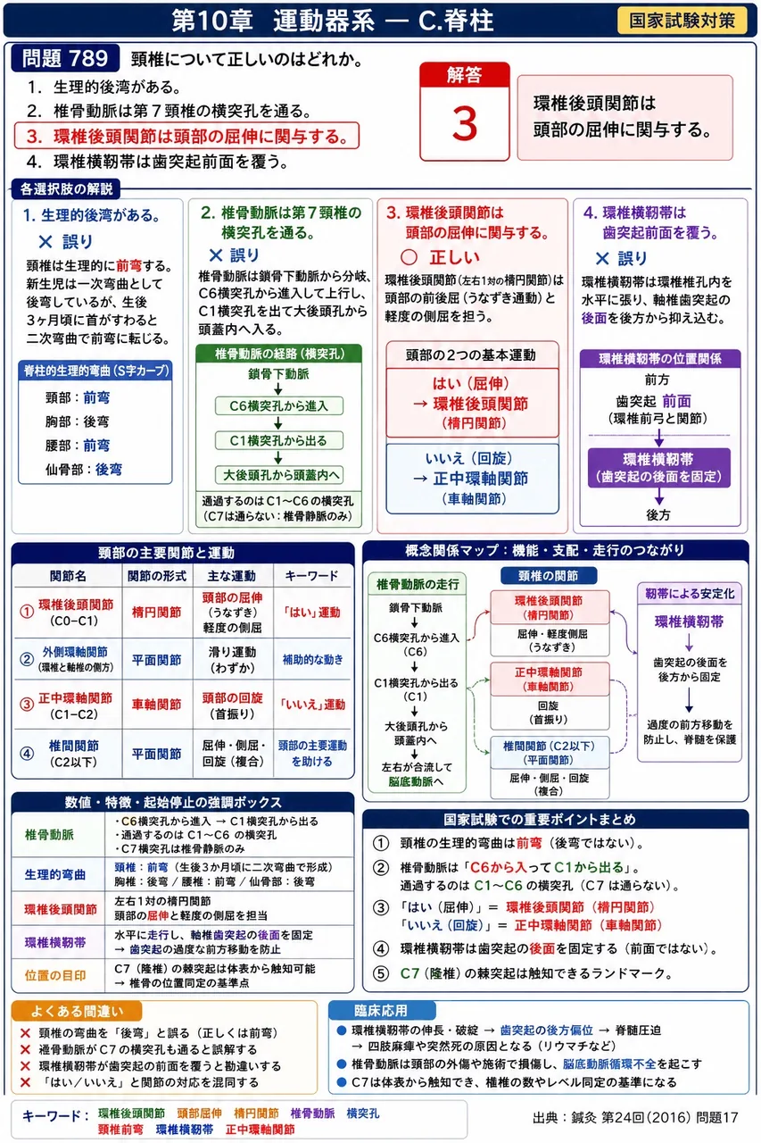 鍼灸 第24回(2016) 問題17|頸椎について正しいのはどれか。 解説図