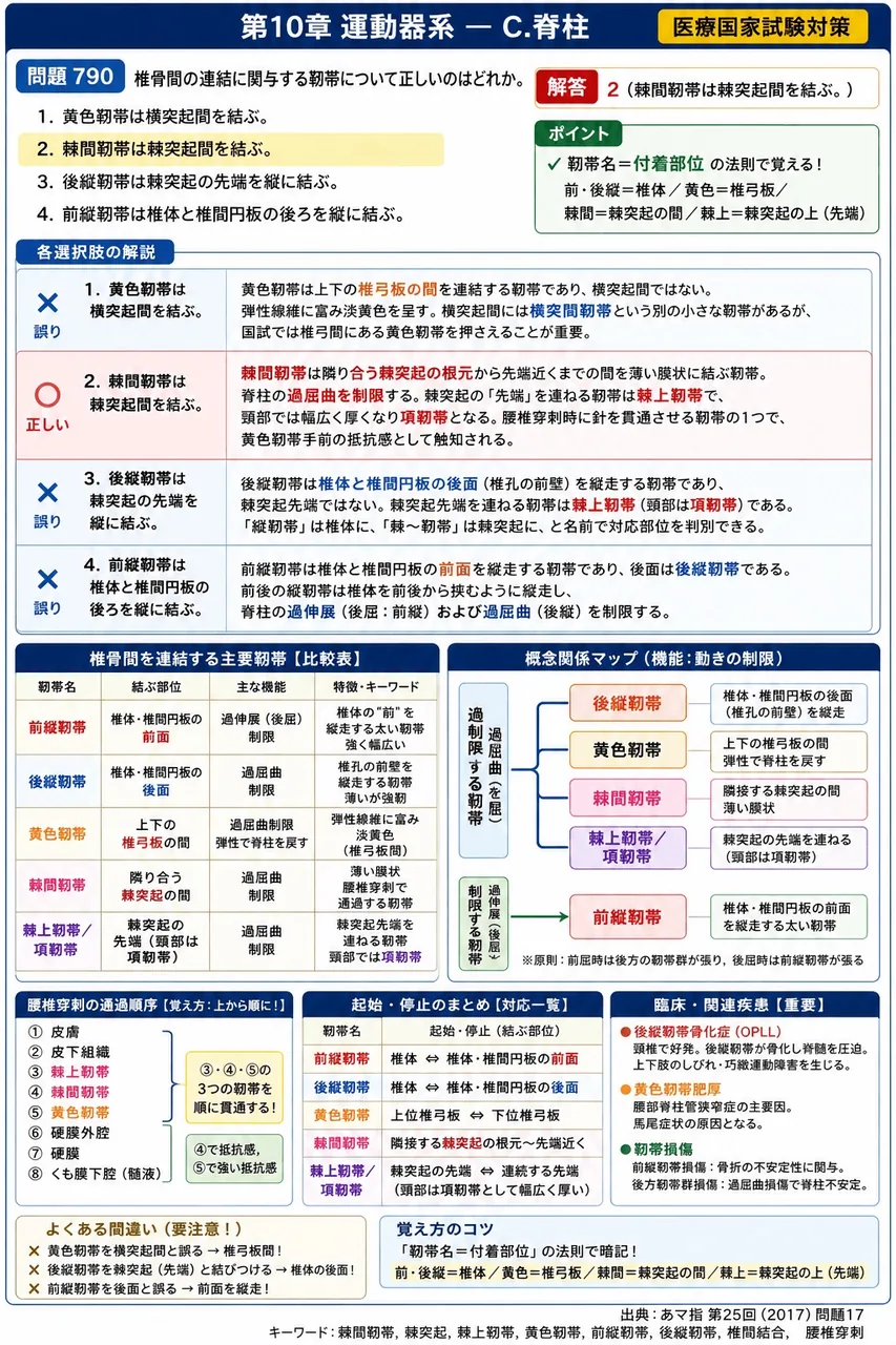 あマ指 第25回(2017) 問題17｜椎骨間の連結に関与する靭帯について正しいのはどれか。 解説図