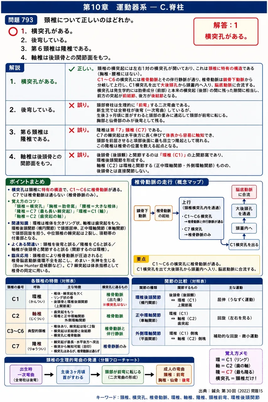 鍼灸 第30回(2022) 問題15|頸椎について正しいのはどれか。 解説図