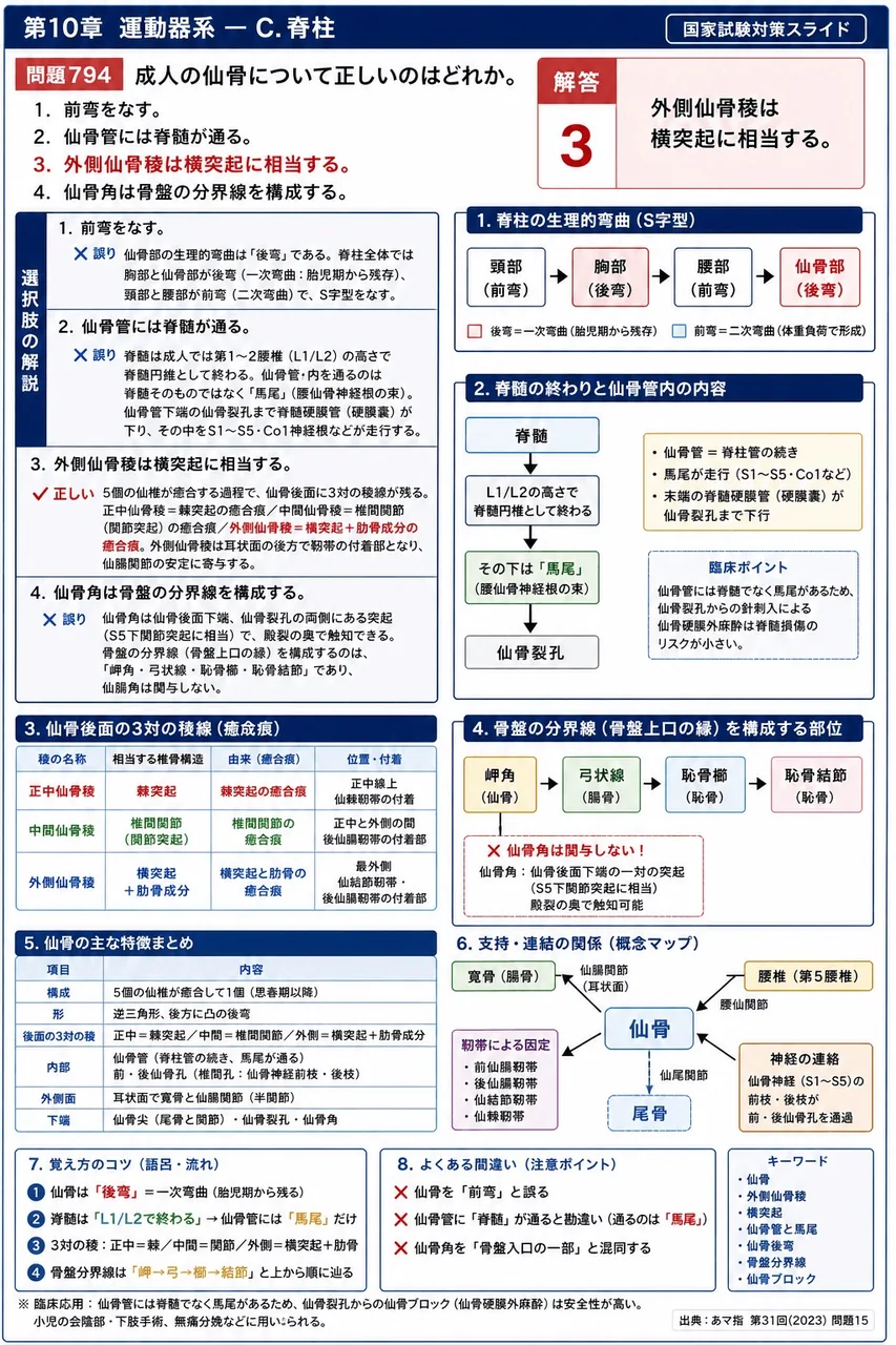 あマ指 第31回(2023) 問題15|成人の仙骨について正しいのはどれか。 解説図