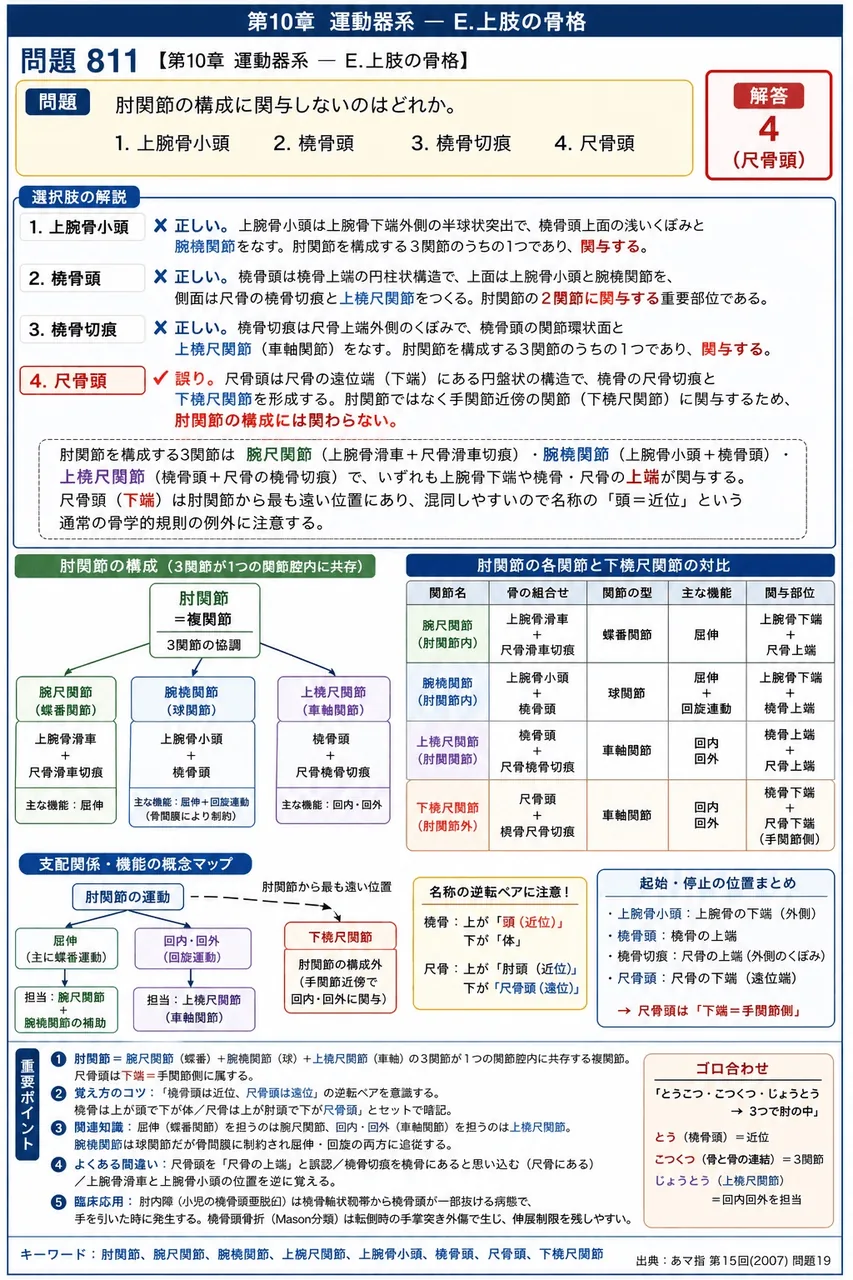 あマ指 第15回(2007) 問題19|肘関節の構成に関与しないのはどれか。 解説図