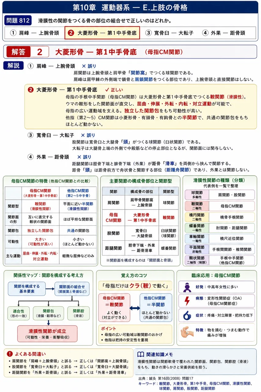 鍼灸 第16回(2008) 問題17|滑膜性の関節をつくる骨の部位の組合せで正しいのはどれか。 解説図