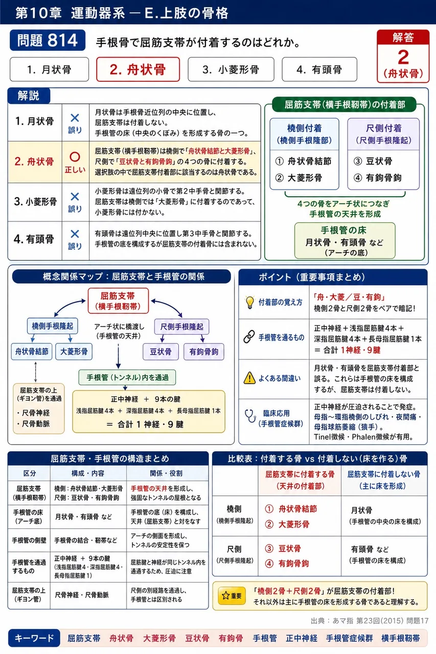 あマ指 第23回(2015) 問題17｜手根骨で屈筋支帯が付着するのはどれか。 解説図
