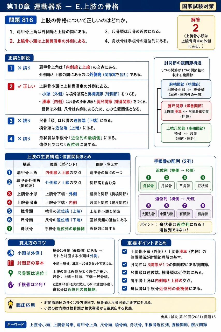 鍼灸 第29回(2021) 問題15|上肢の骨格について正しいのはどれか。 解説図