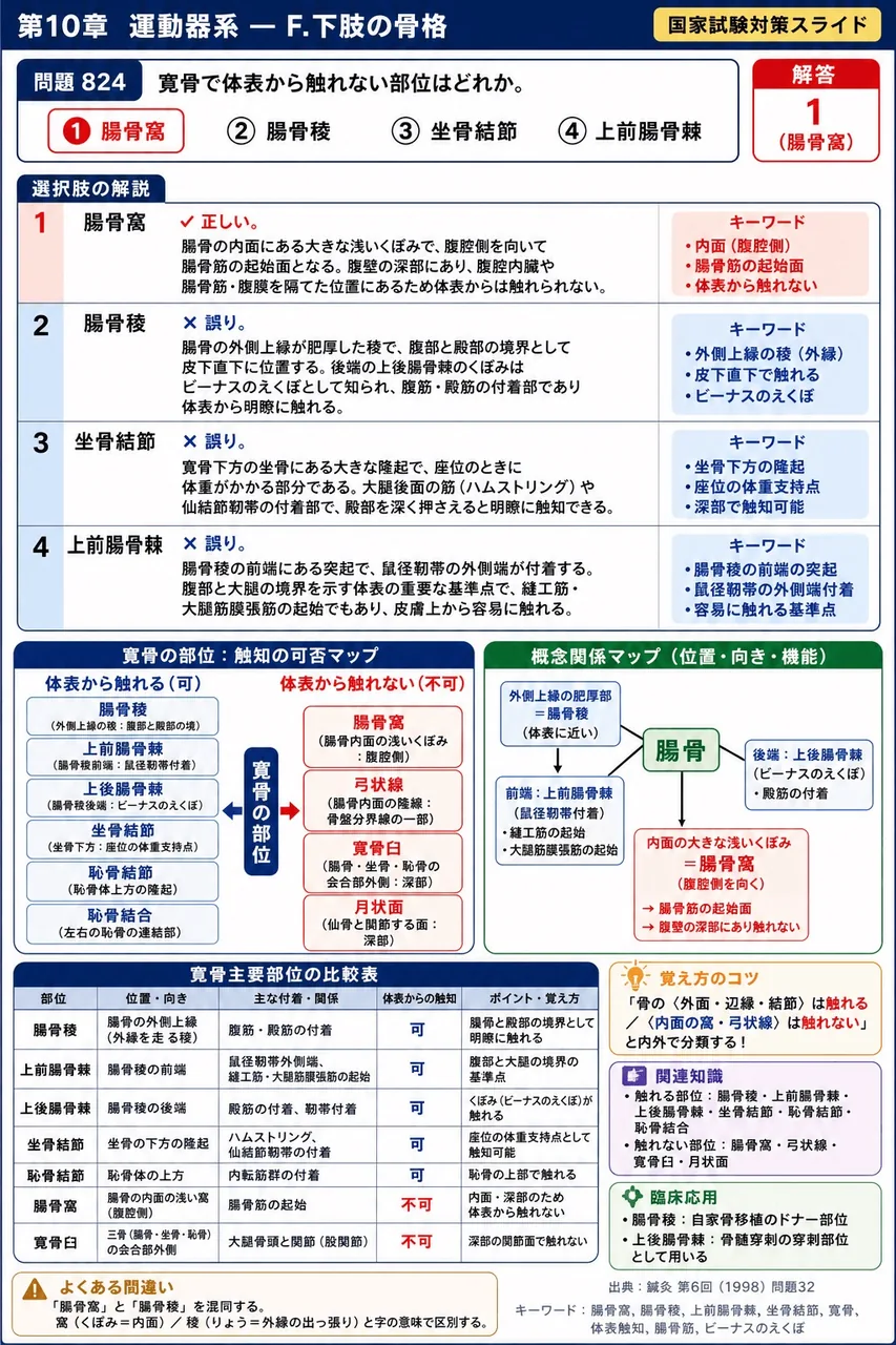 鍼灸 第6回(1998) 問題32|寛骨で体表から触れない部位はどれか。 解説図