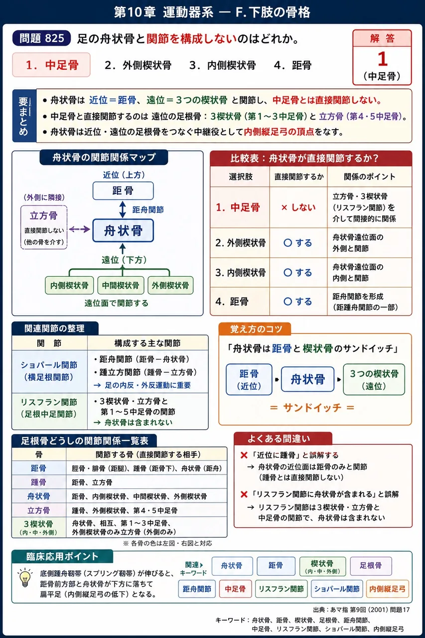あマ指 第9回(2001) 問題17｜足の舟状骨と関節を構成しないのはどれか。 解説図