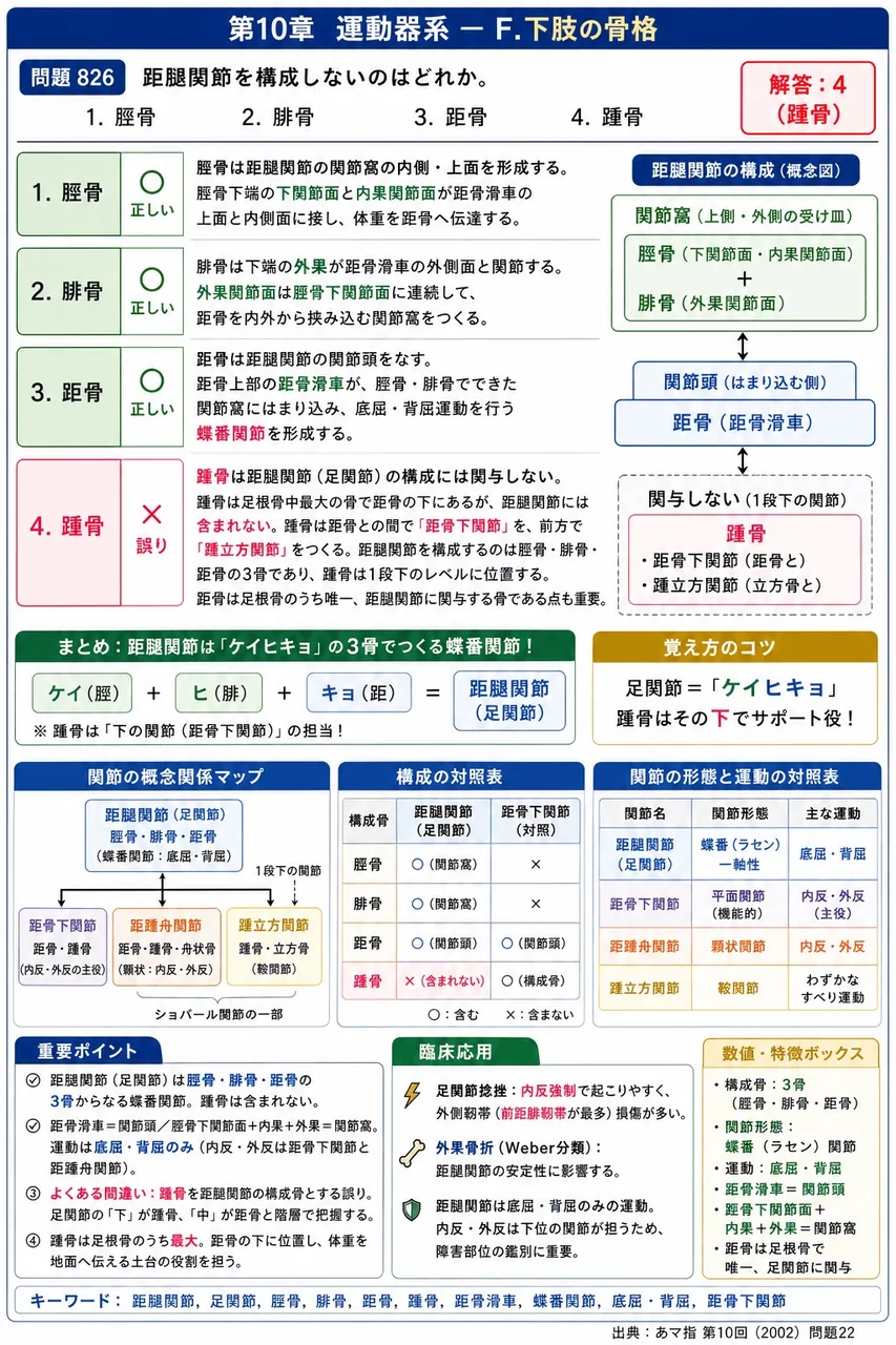 あマ指 第10回(2002) 問題22|距腿関節を構成しないのはどれか。 解説図