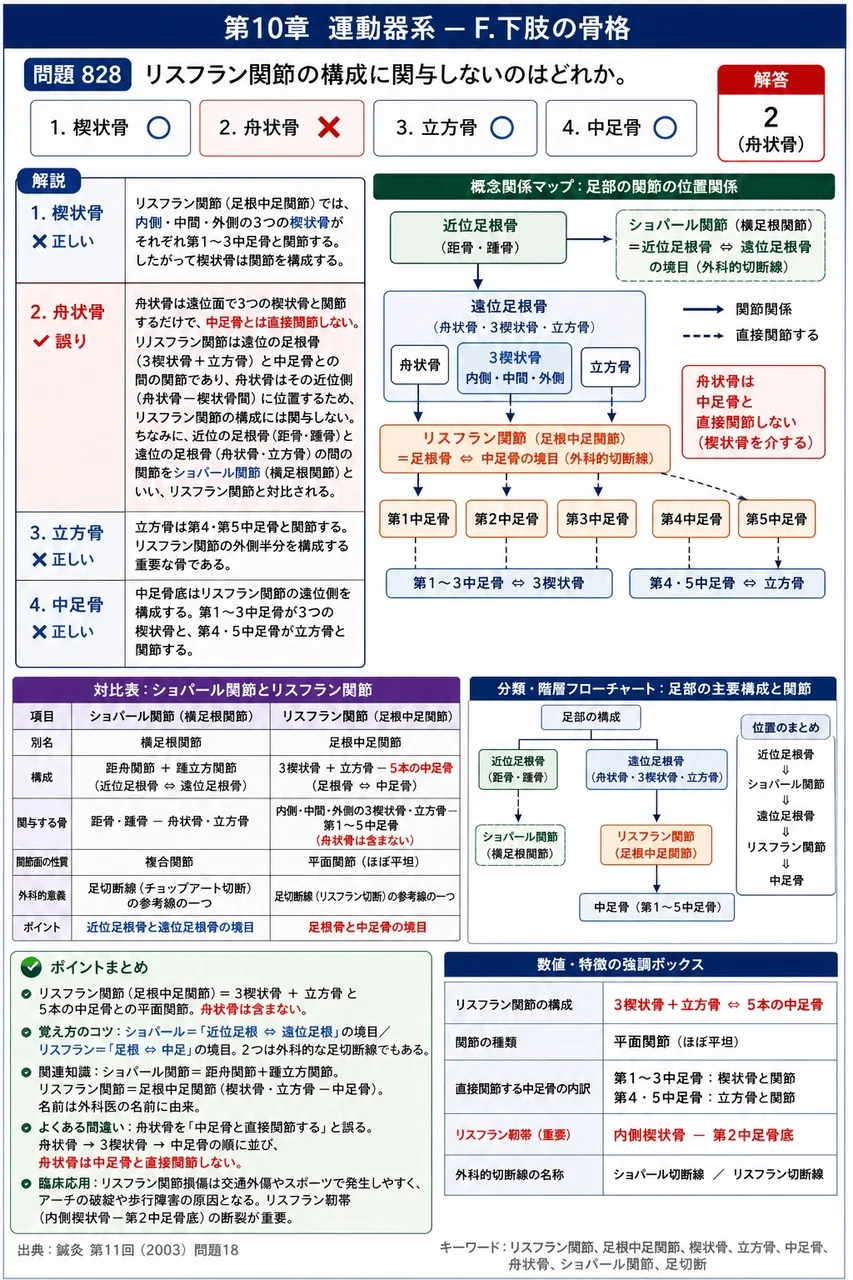鍼灸 第11回(2003) 問題18｜リスフラン関節の構成に関与しないのはどれか。 解説図