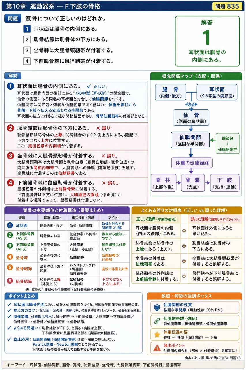 あマ指 第26回(2018) 問題16｜寛骨について正しいのはどれか。 解説図