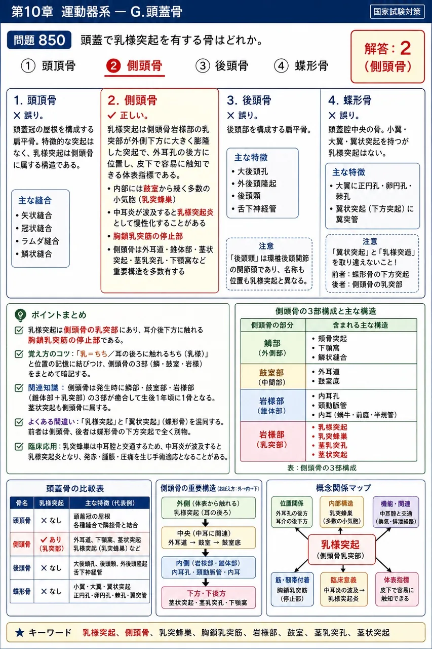 あマ指 第7回(1999) 問題18｜頭蓋で乳様突起を有する骨はどれか。 解説図