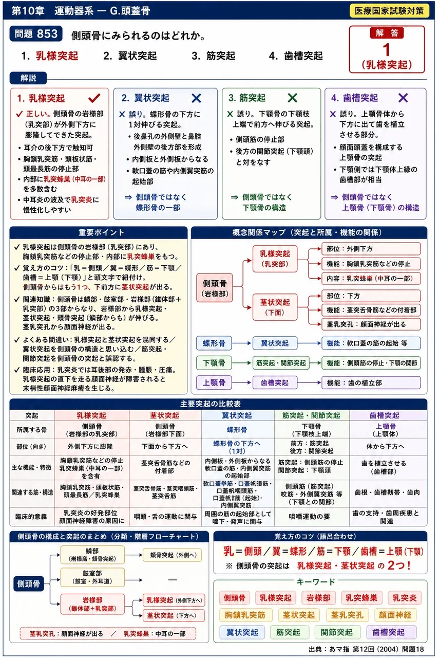 あマ指 第12回(2004) 問題18｜側頭骨にみられるのはどれか。 解説図