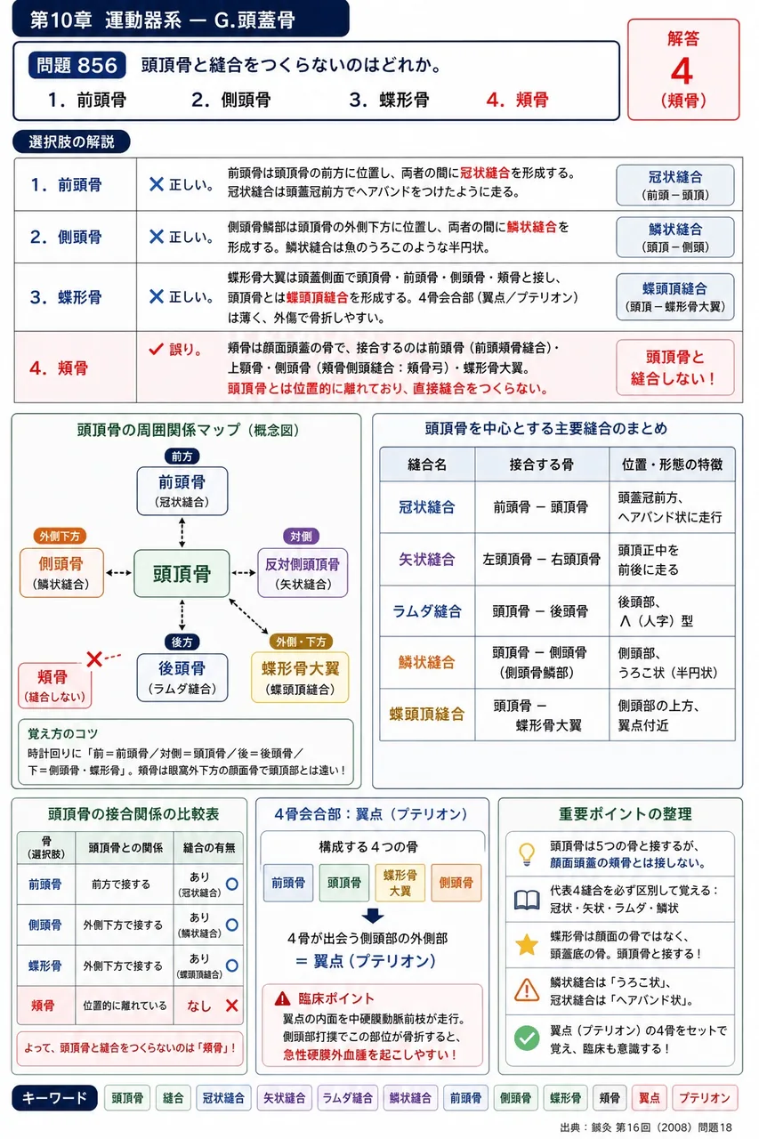 鍼灸 第16回(2008) 問題18|頭頂骨と縫合をつくらないのはどれか。 解説図