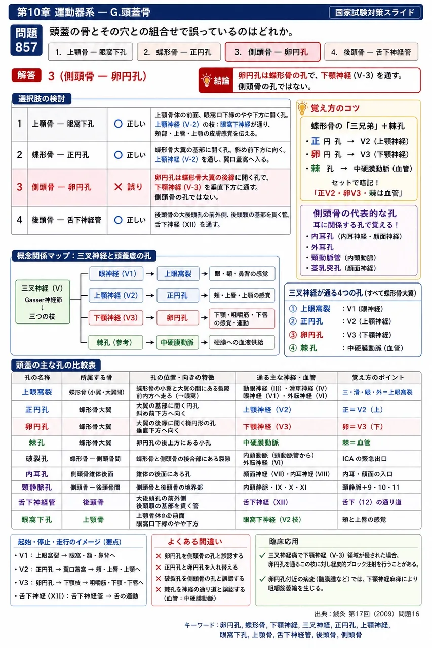 鍼灸 第17回(2009) 問題16|頭蓋の骨とその穴との組合せで誤っているのはどれか。 解説図