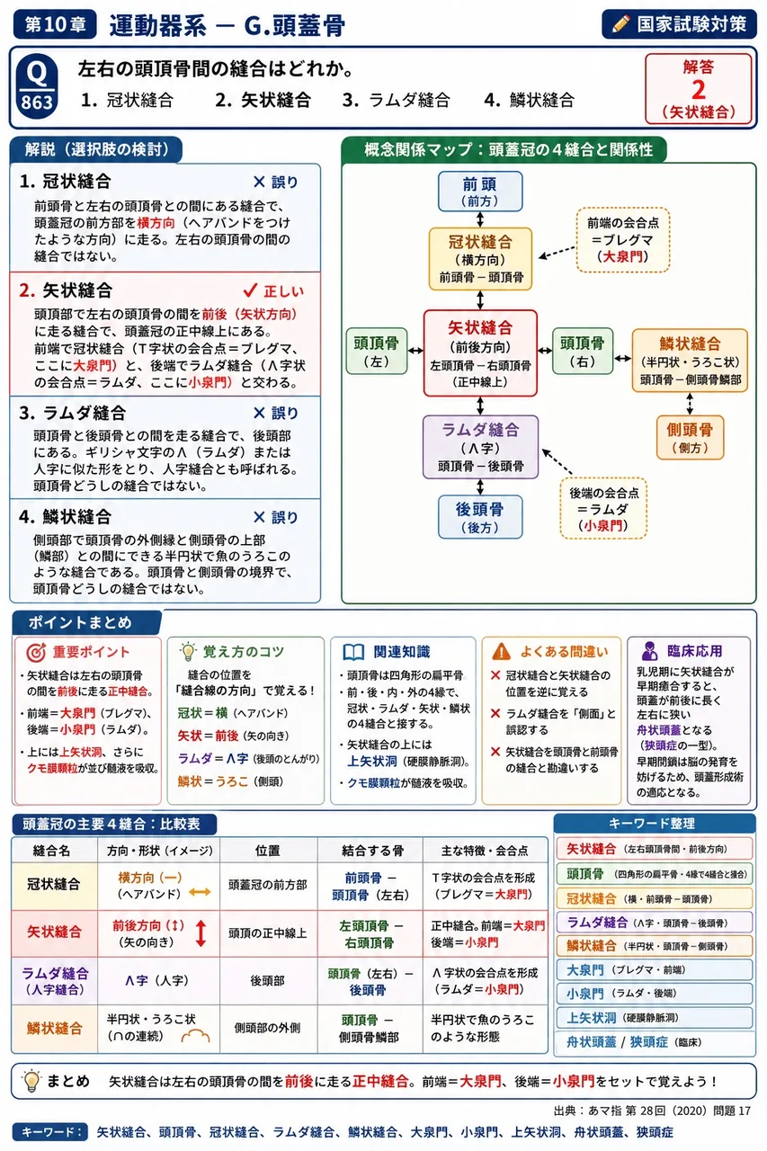 あマ指 第28回(2020) 問題17|左右の頭頂骨間の縫合はどれか。 解説図