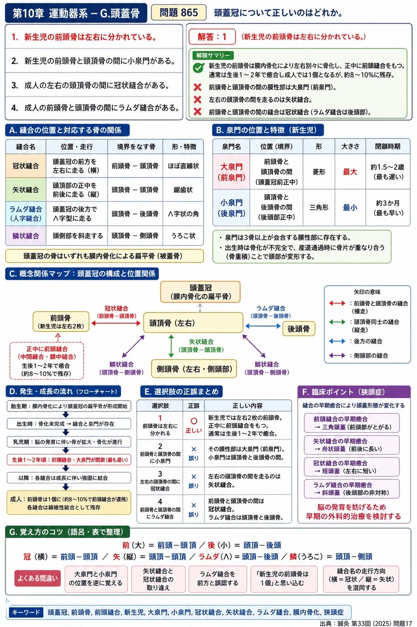 鍼灸 第33回(2025) 問題17｜頭蓋冠について正しいのはどれか。 解説図