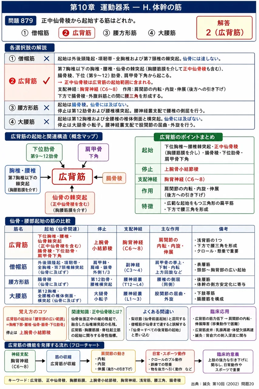 鍼灸 第10回(2002) 問題20｜正中仙骨稜から起始する筋はどれか。 解説図