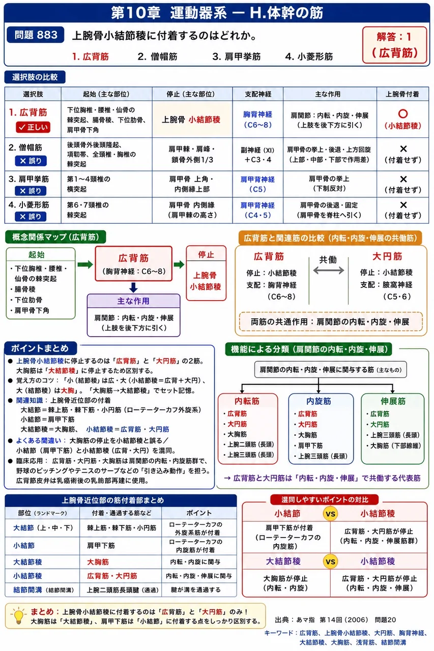 あマ指 第14回(2006) 問題20｜上腕骨小結節稜に付着するのはどれか。 解説図