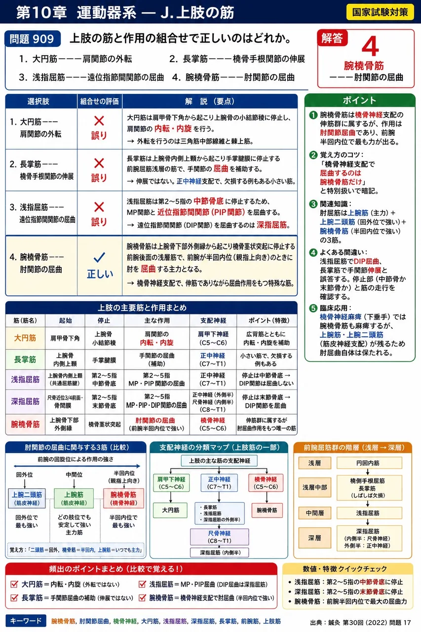 鍼灸 第30回(2022) 問題17|上肢の筋と作用の組合せで正しいのはどれか。 解説図
