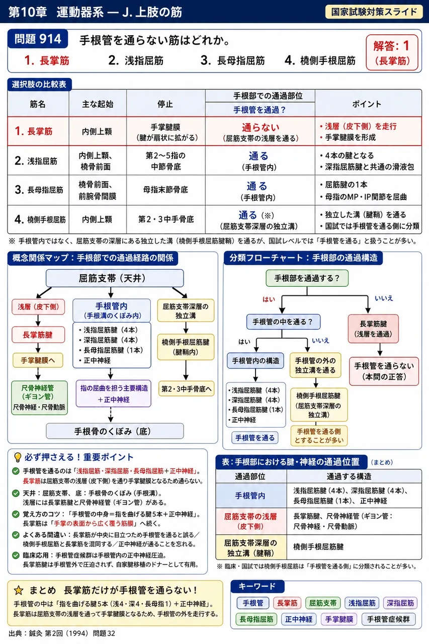 鍼灸 第2回(1994) 問題32｜手根管を通らない筋はどれか。 解説図