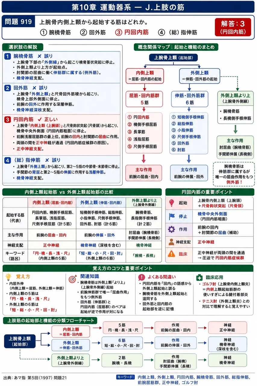 あマ指 第5回(1997) 問題21|上腕骨内側上顆から起始する筋はどれか。 解説図