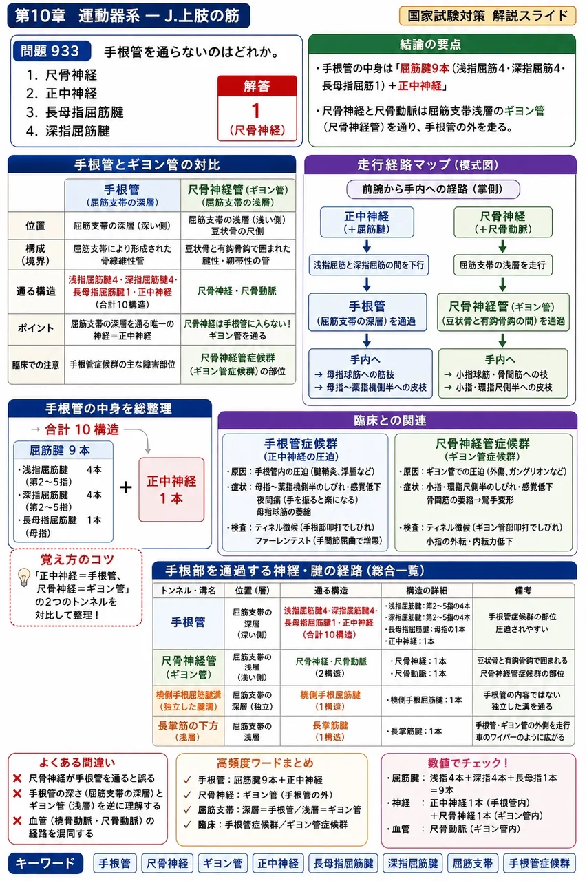 鍼灸 第12回(2004) 問題21｜手根管を通らないのはどれか。 解説図