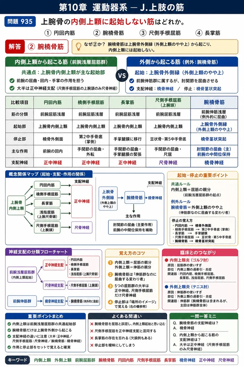 あマ指 第13回(2005) 問題21｜上腕骨の内側上顆に起始しない筋はどれか。 解説図