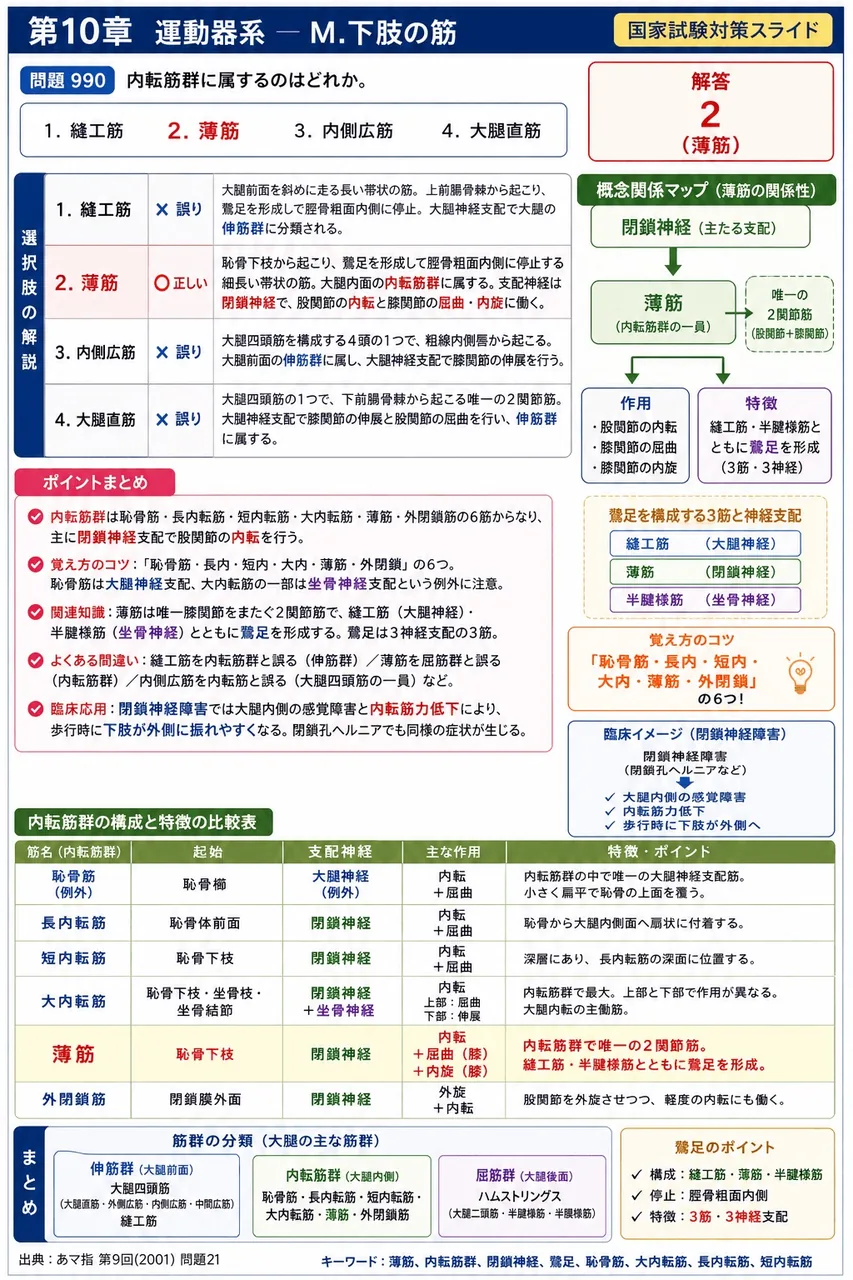 あマ指 第9回(2001) 問題21|内転筋群に属するのはどれか。 解説図