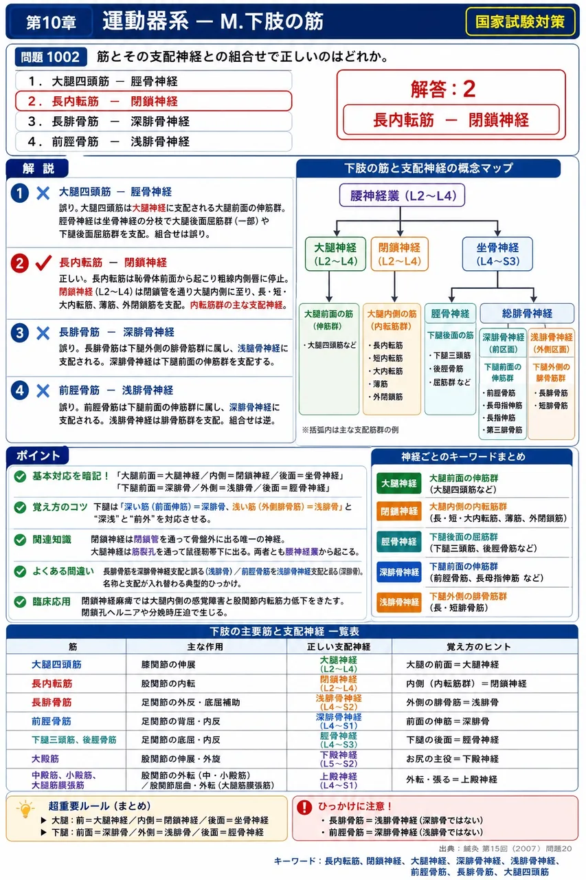 鍼灸 第15回(2007) 問題20｜筋とその支配神経との組合せで正しいのはどれか。 解説図