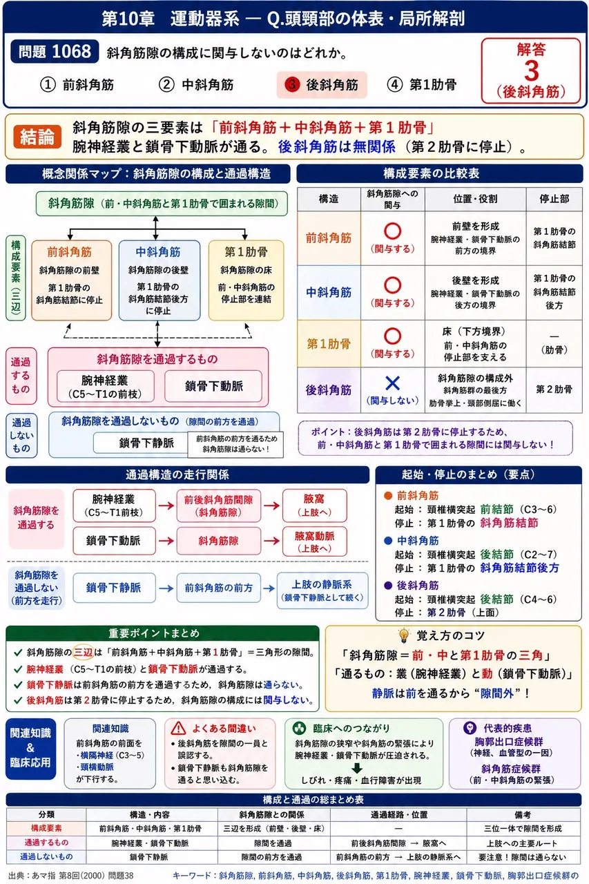 あマ指 第8回(2000) 問題38|斜角筋隙の構成に関与しないのはどれか。 解説図