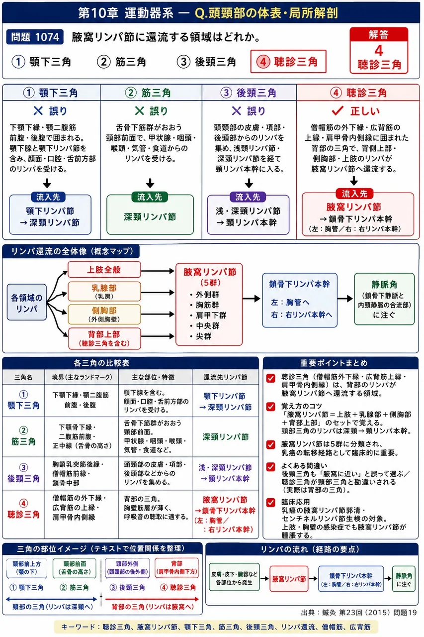 鍼灸 第23回(2015) 問題19｜腋窩リンパ節に還流する領域はどれか。 解説図