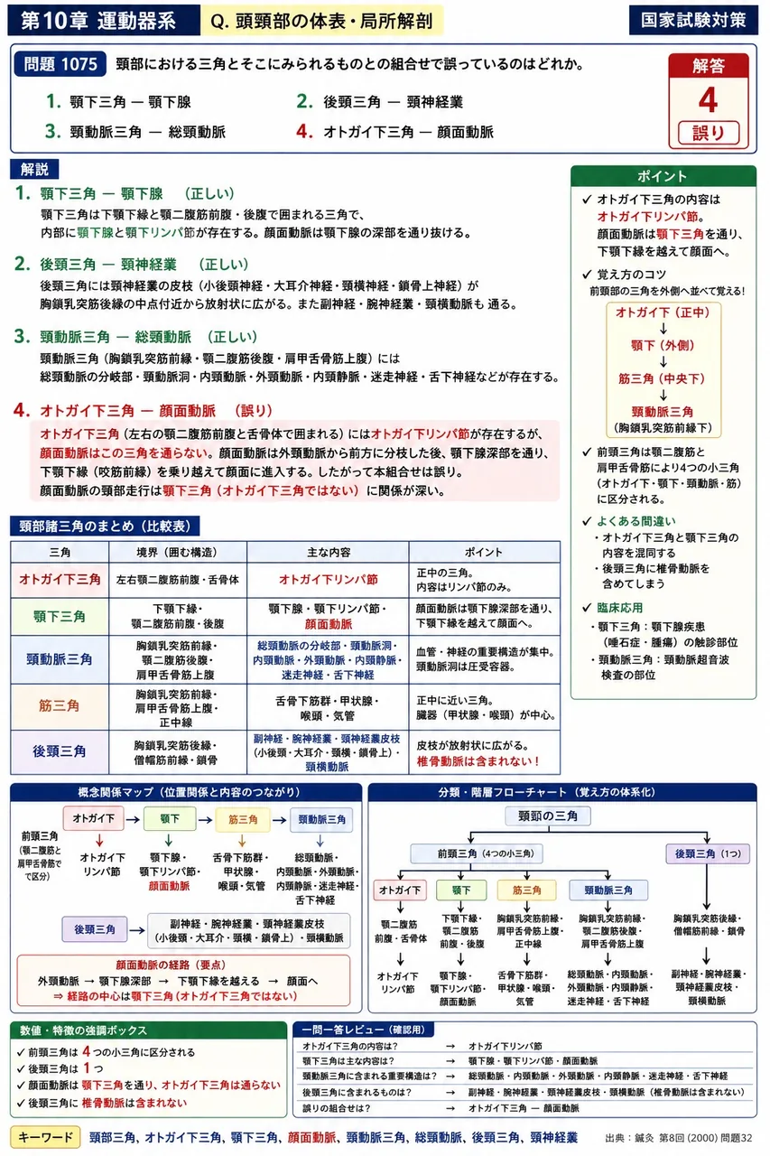 鍼灸 第8回(2000) 問題32|頸部における三角とそこにみられるものとの組合せで誤っているのはどれか。 解説図