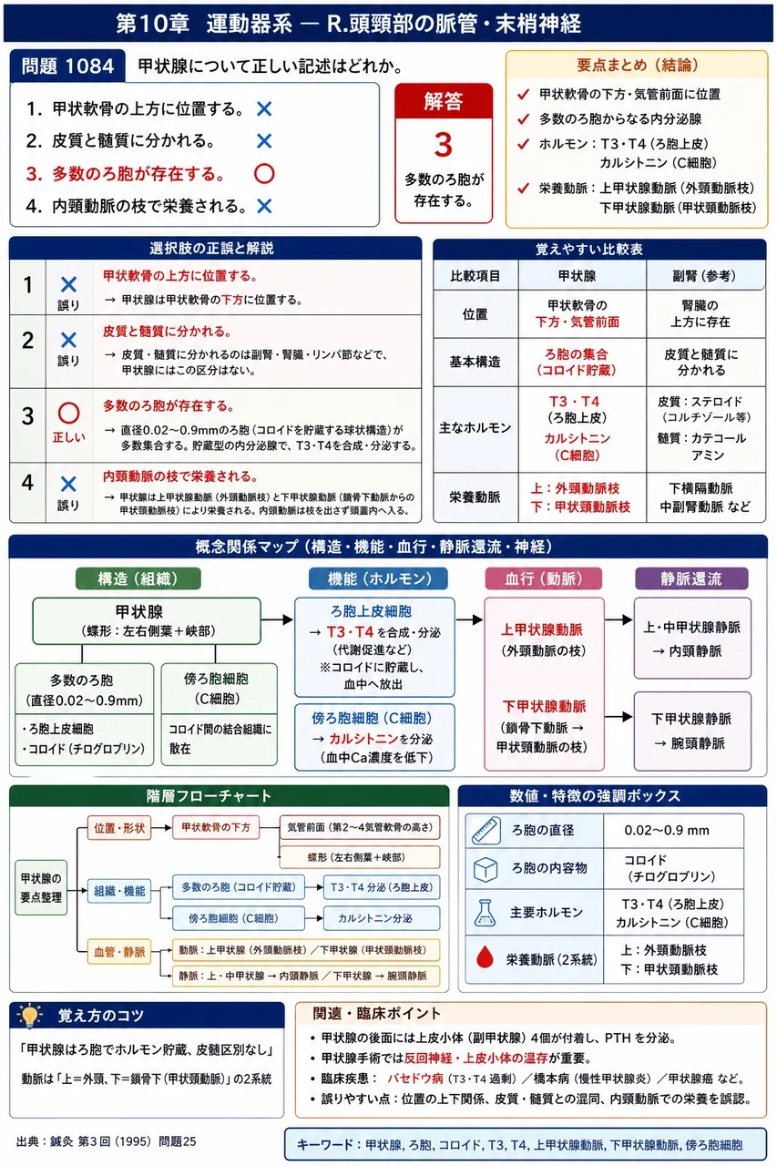 鍼灸 第3回(1995) 問題25|甲状腺について正しい記述はどれか。 解説図