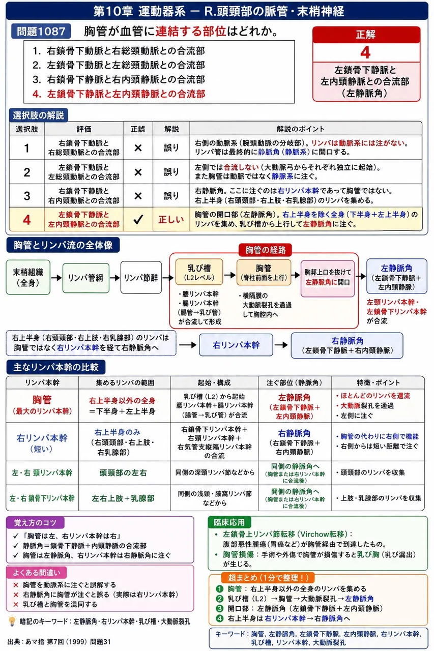 あマ指 第7回(1999) 問題31|胸管が血管に連結する部位はどれか。 解説図