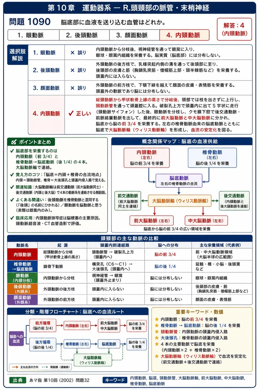 あマ指 第10回(2002) 問題32|脳底部に血液を送り込む血管はどれか。 解説図
