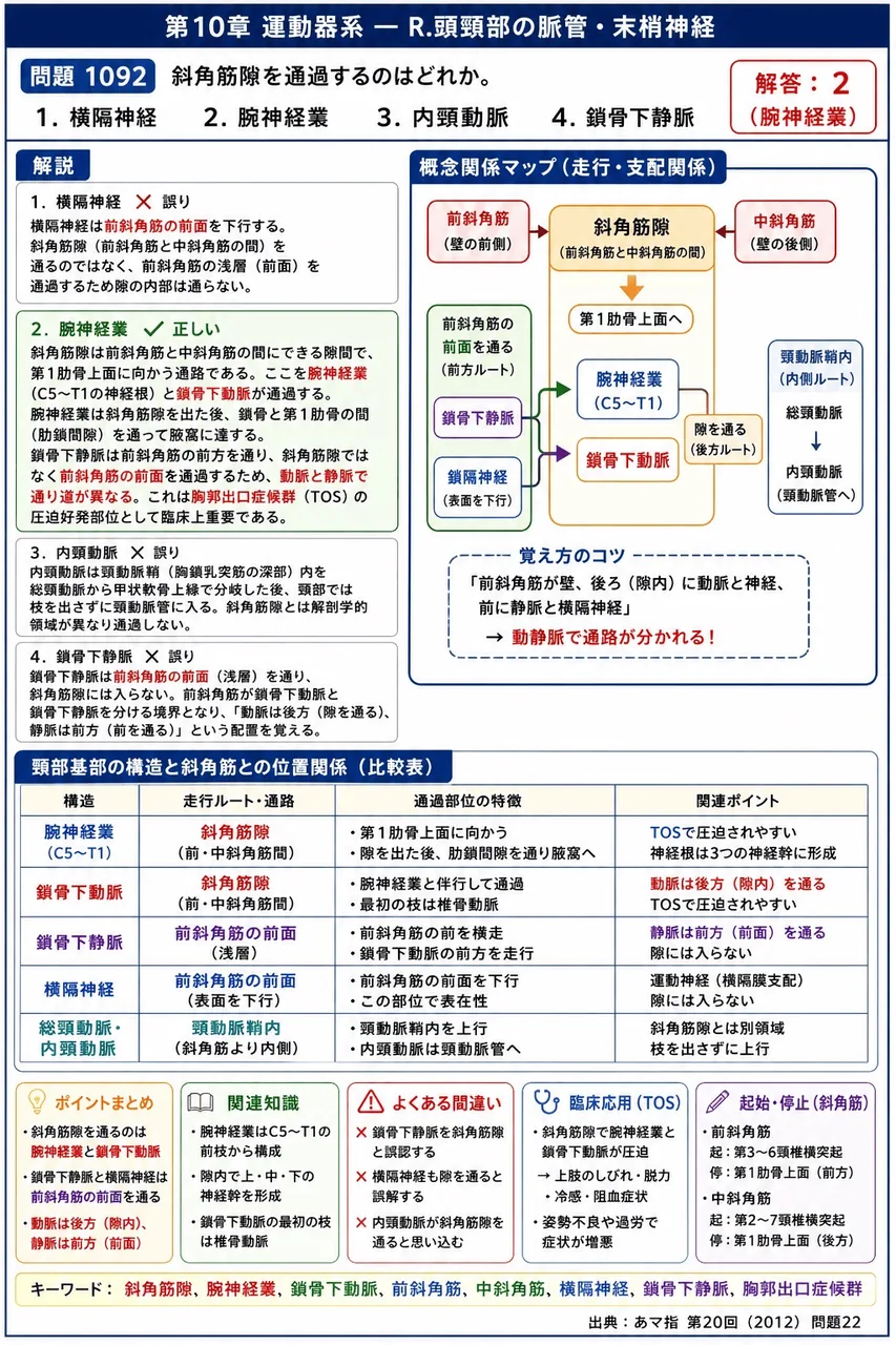 あマ指 第20回(2012) 問題22|斜角筋隙を通過するのはどれか。 解説図