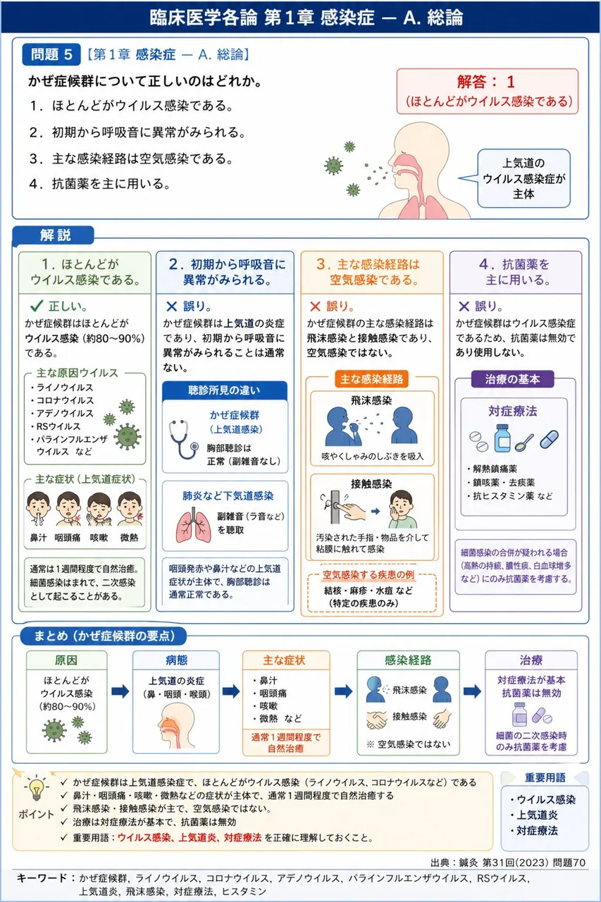 鍼灸 第31回(2023) 問題70｜かぜ症候群について正しいのはどれか。 解説図