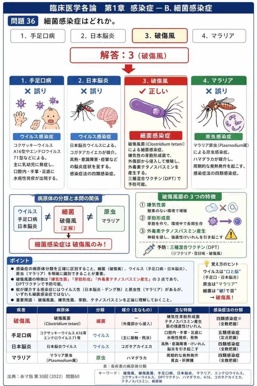 あマ指 第30回(2022) 問題60｜細菌感染症はどれか。 解説図